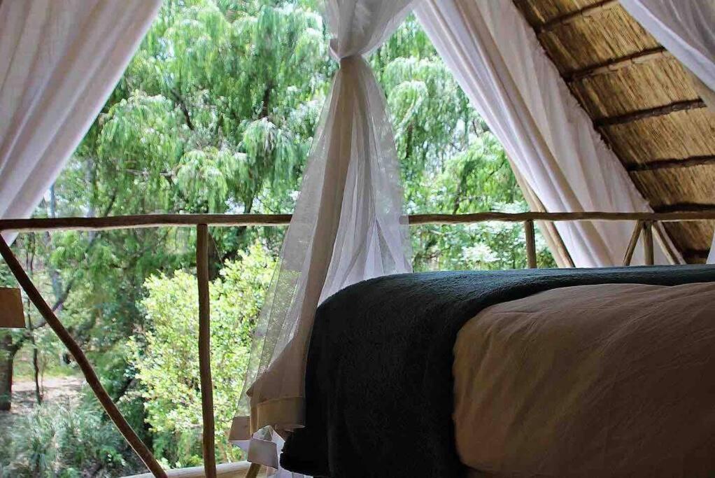 Hot Spring Bungalow In Limpopo Gemsbokfontein Exteriér fotografie