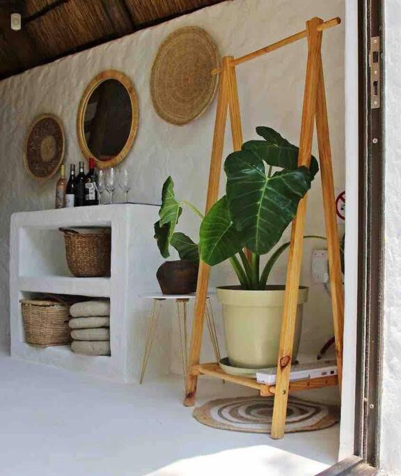 Hot Spring Bungalow In Limpopo Gemsbokfontein Exteriér fotografie